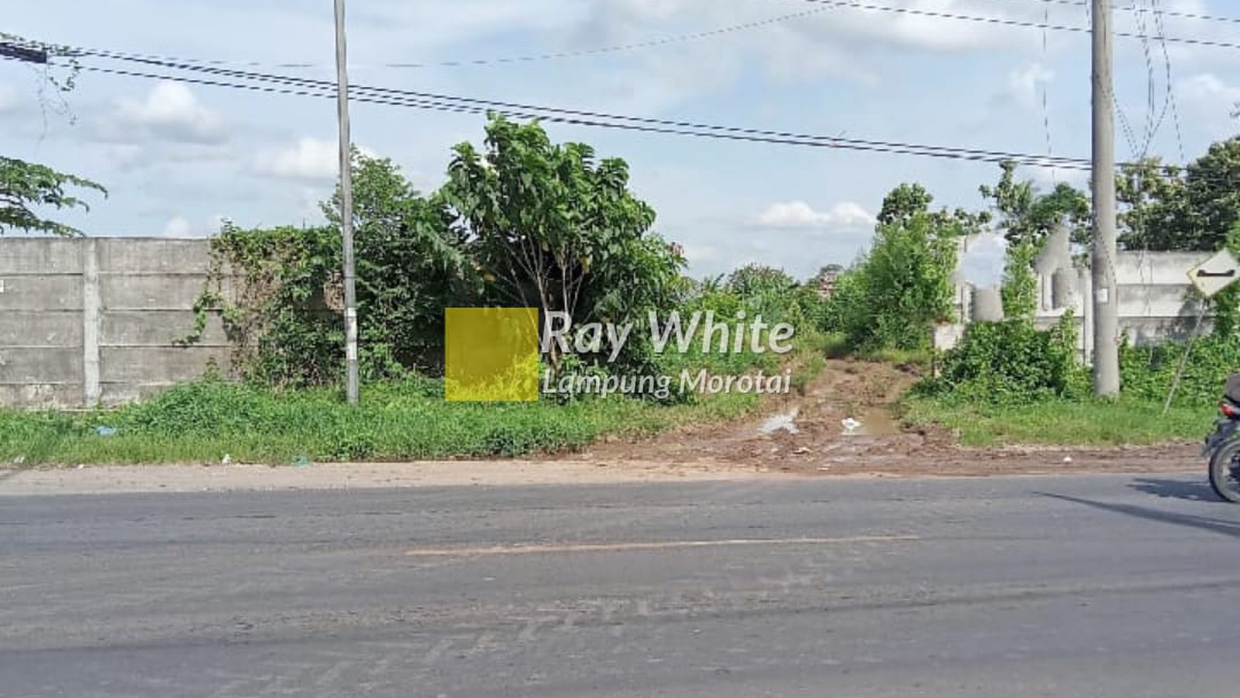 Dijual Tanah di Jalan Lintas Seputih Jaya Gunung Sugih yh