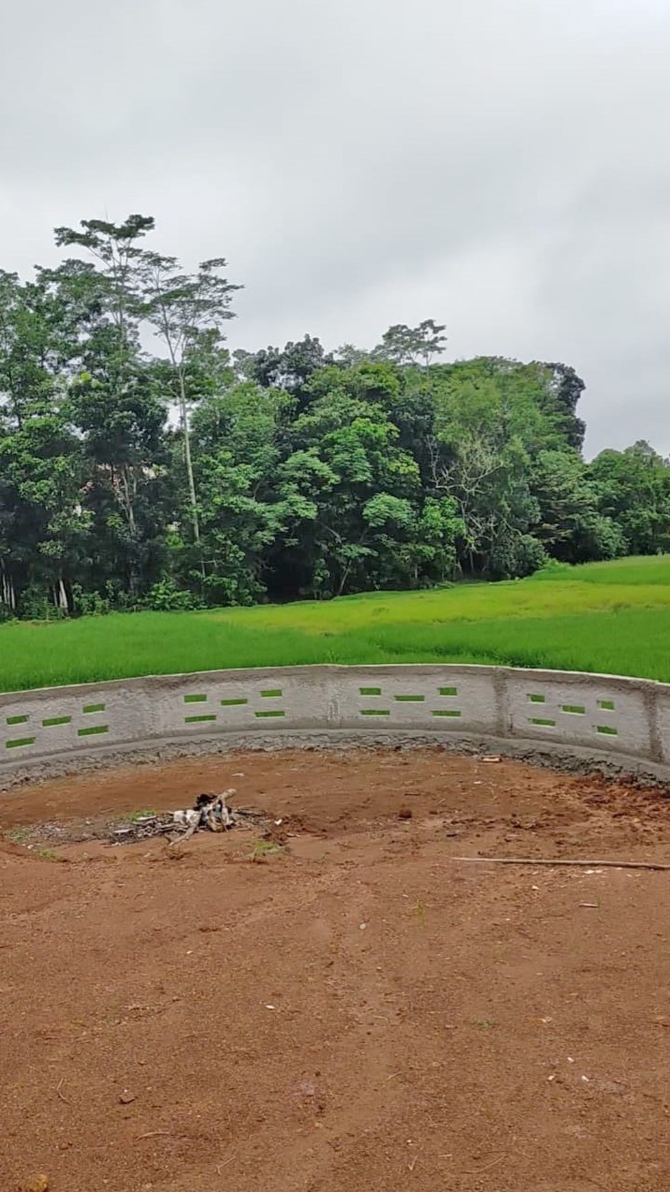 Tanah pinggir Jl Parung panjang ke Podomoro Tenjo Luas 1007m2