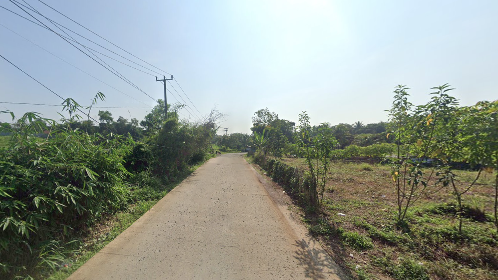 Tanah pinggir Jl Parung panjang ke Podomoro Tenjo Luas 1007m2