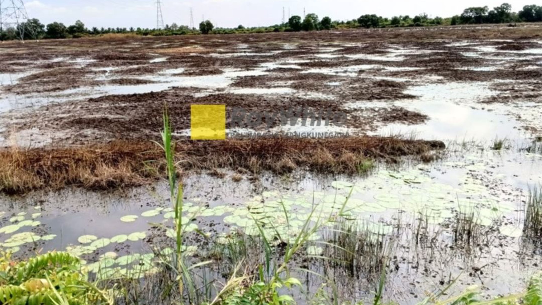 Tanah Dijual Kawasan Industri Tanjung Api Api