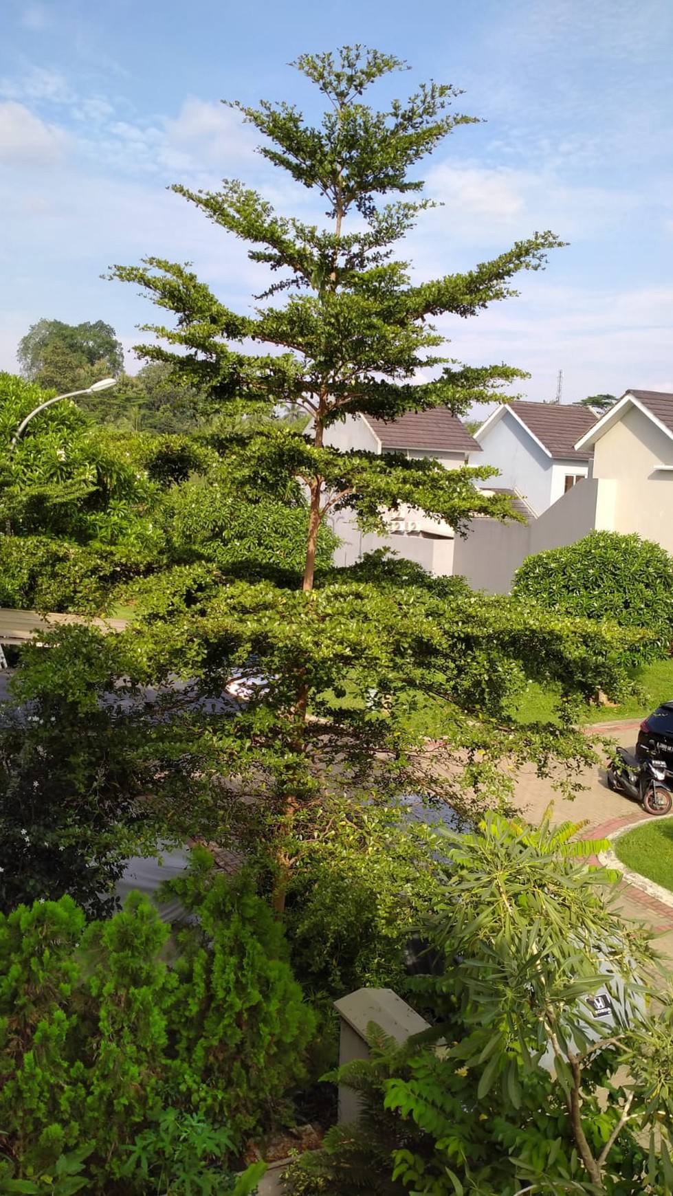 Rumah Bagus Di Serpong Lagoon BSD Tangerang Selatan