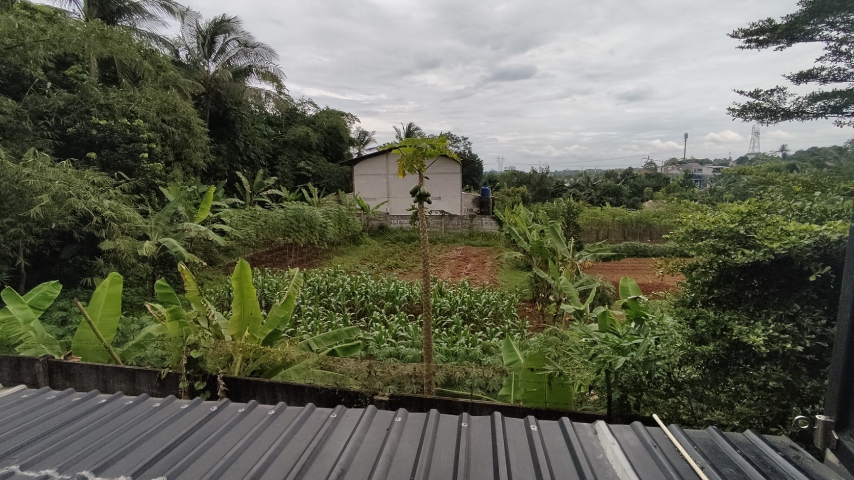 Rumah Bagus Di Serpong Lagoon BSD Tangerang Selatan