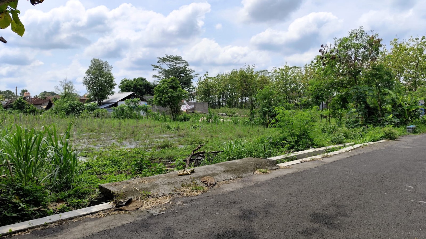 Disewakan Tanah Pekarangan Luas 2500 Meter Persegi Lokasi Dekat Jl Gito Gati 