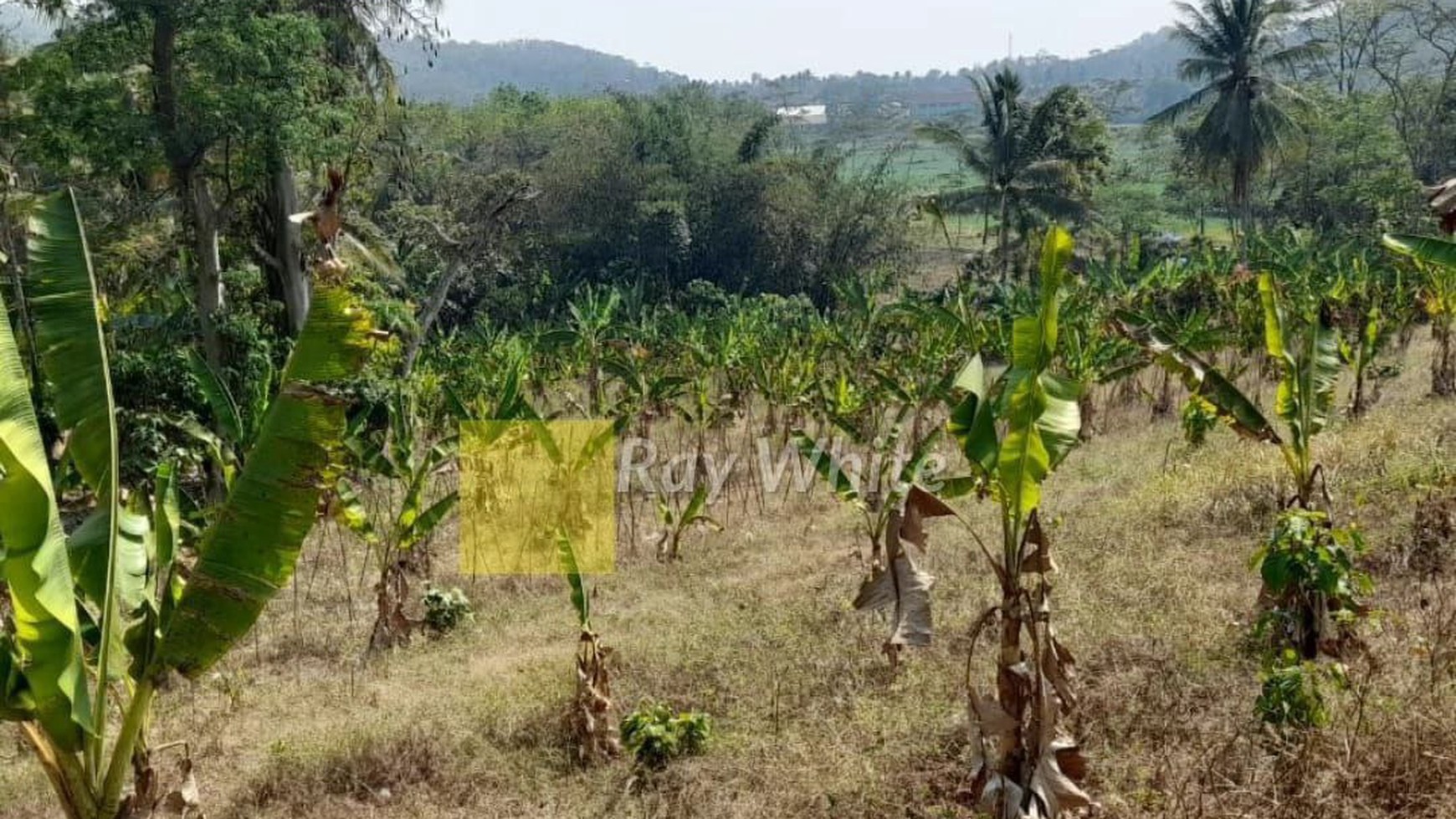 Dijual Tanah di Pesawaran, Lampung