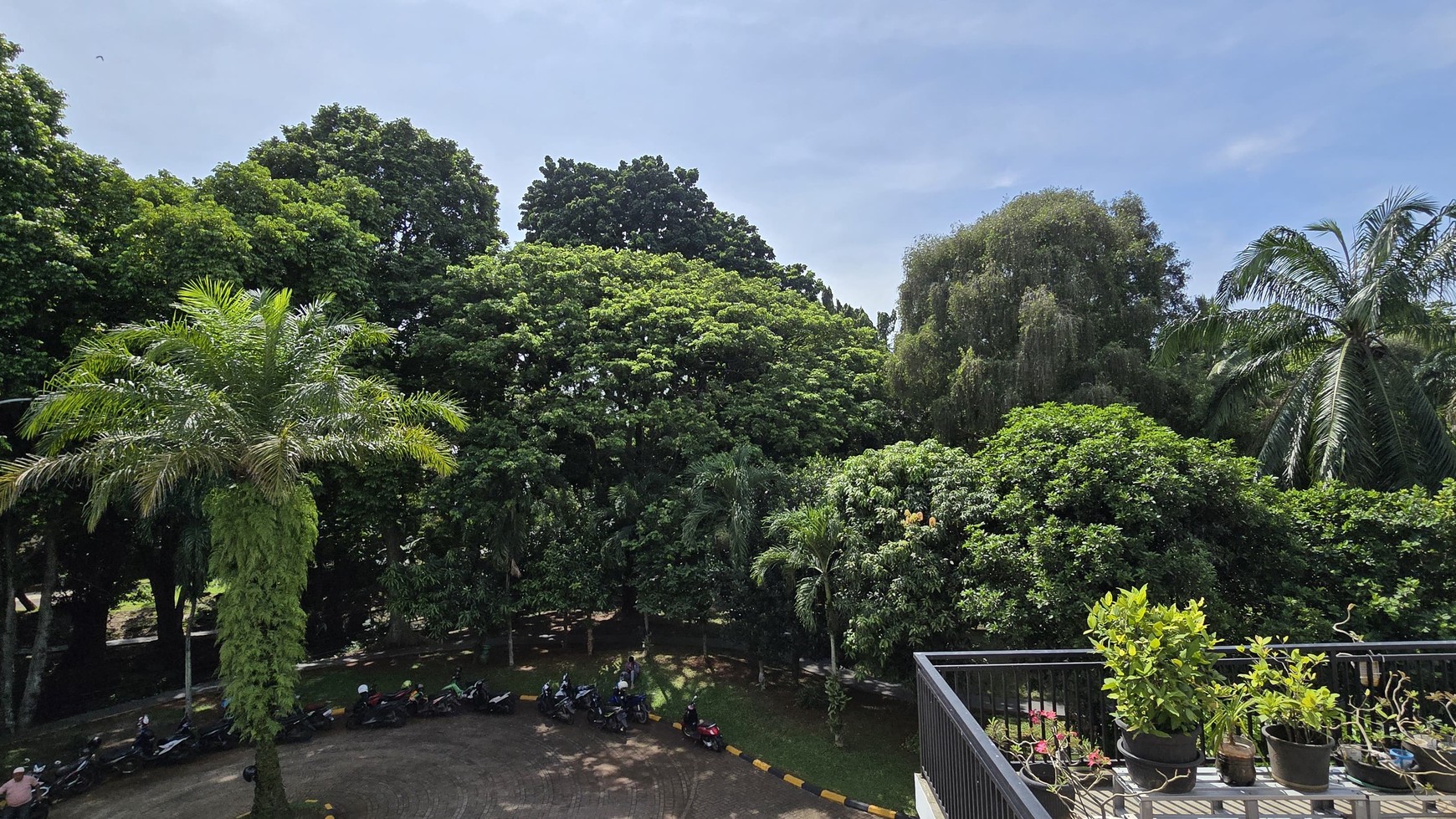 Spesial Rumah depan LITTLE FOREST jogging track luas di Puspita Loka BSD City, suasana rimbun dan tenang