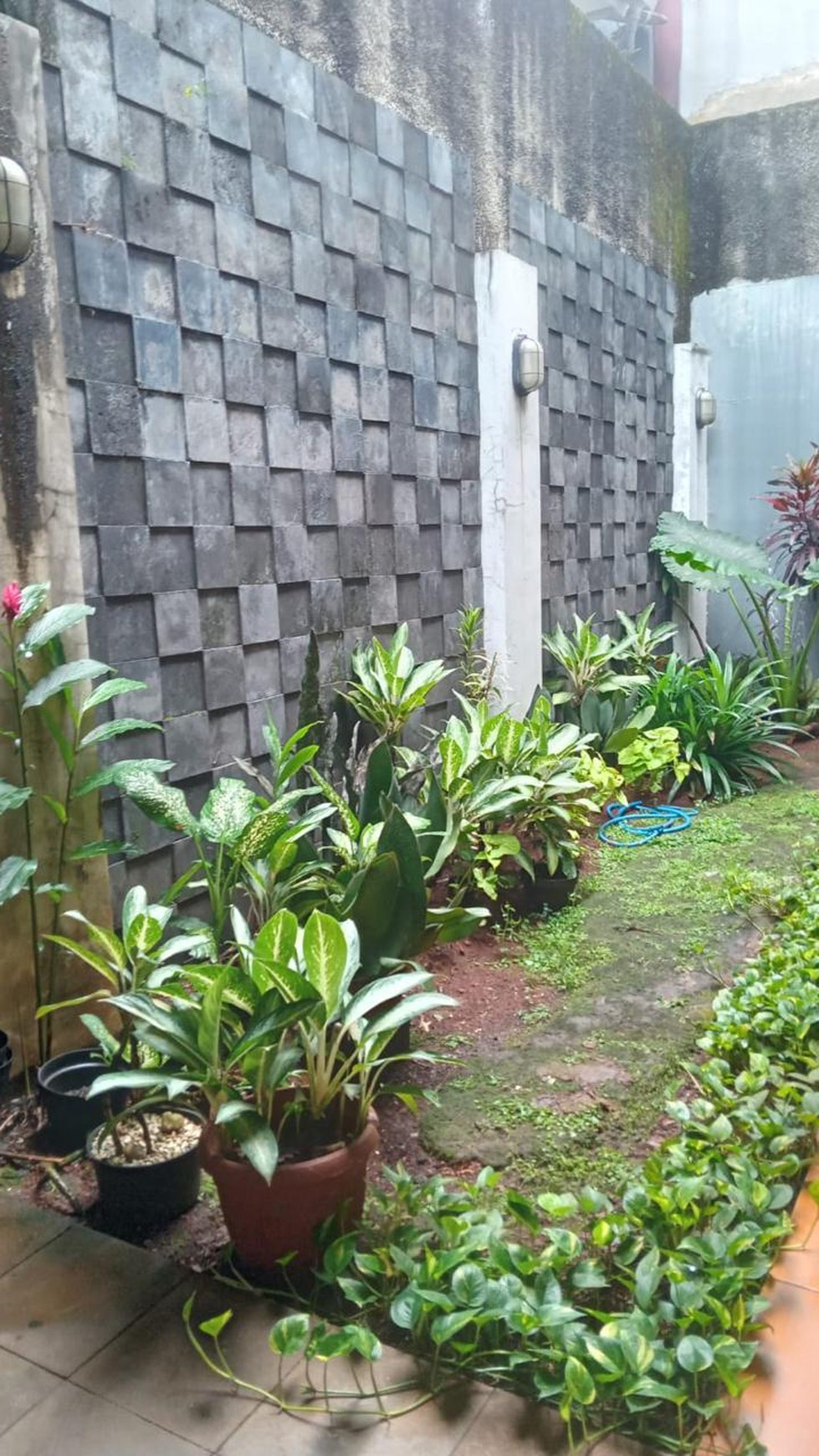 Rumah Siap Huni dengan Hunian Nyaman dan Asri @Bintaro Sektor 9