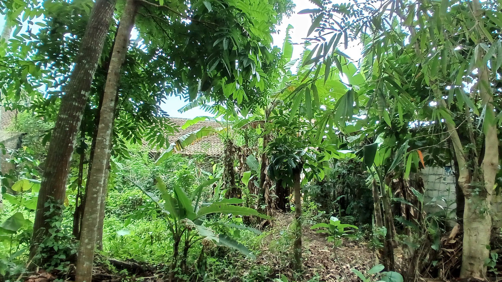 Tanah & Bangunan Rumah Lokasi di Daerah Ngablak Dekat SMPN 2 Turi Sleman