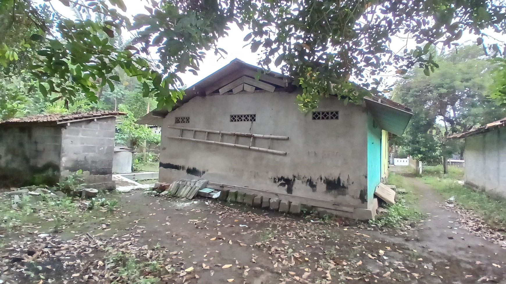 Rumah Tinggal Lokasi Strategis Dekat Pemda Sleman 