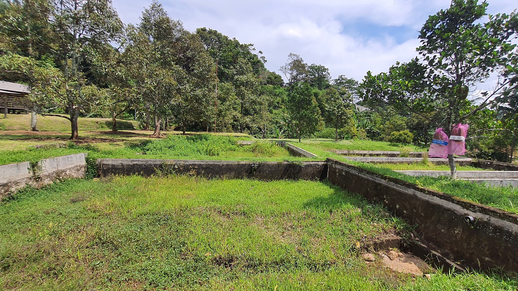 Lahan Perkebunan Seluas 1.6 Hektar di Cijeruk Bogor