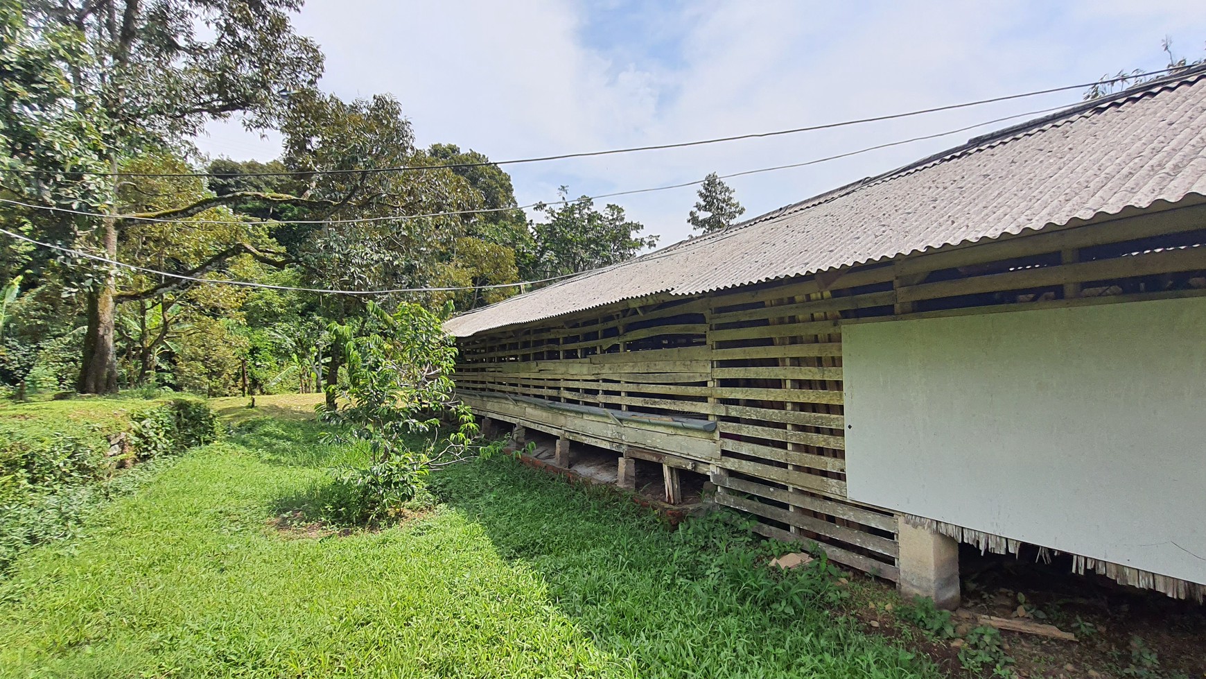 Lahan Perkebunan Seluas 1.6 Hektar di Cijeruk Bogor