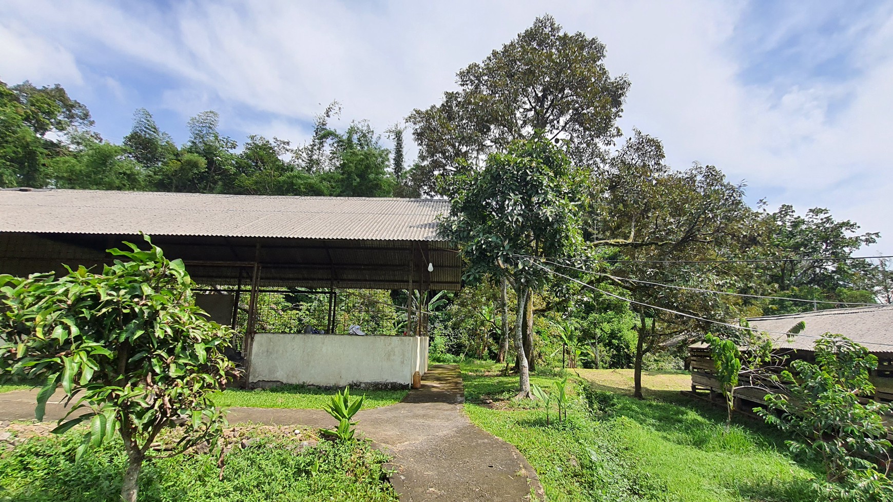 Lahan Perkebunan Seluas 1.6 Hektar di Cijeruk Bogor