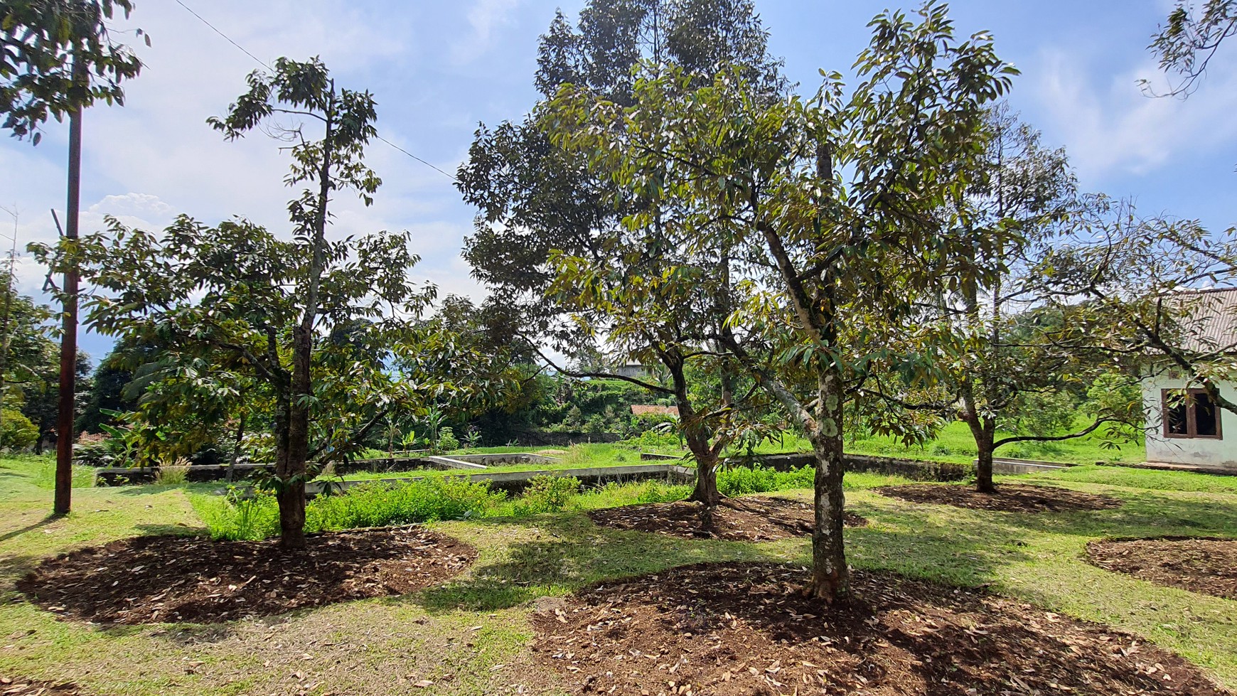 Lahan Perkebunan Seluas 1.6 Hektar di Cijeruk Bogor