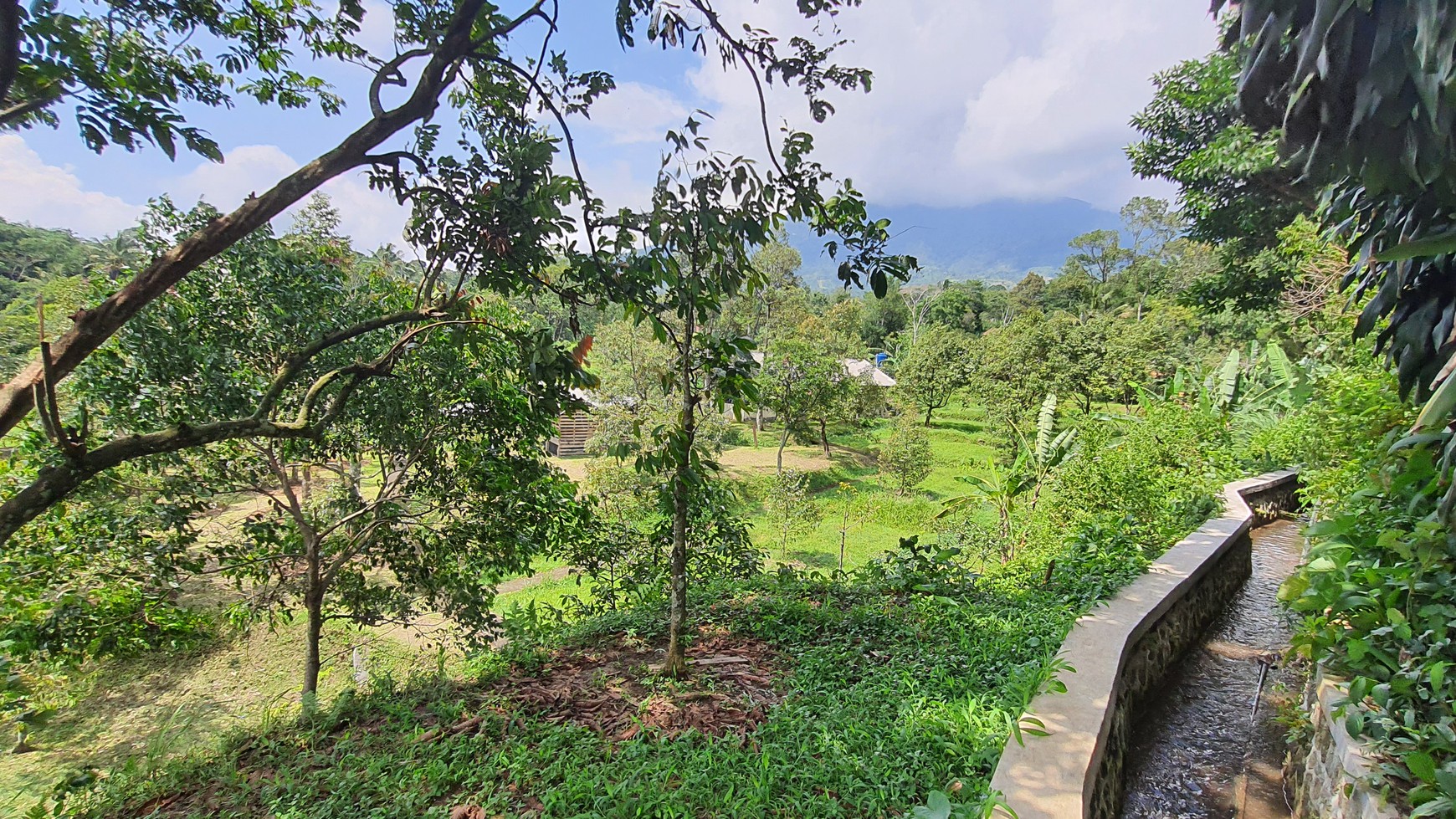 Lahan Perkebunan Seluas 1.6 Hektar di Cijeruk Bogor
