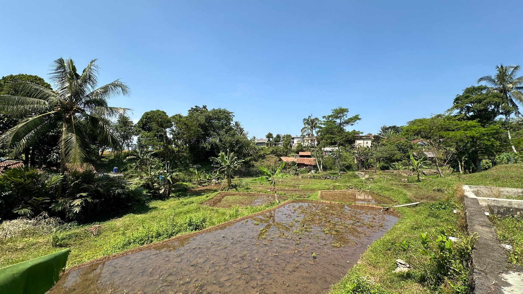 Lahan Perkebunan Seluas 1.6 Hektar di Cijeruk Bogor