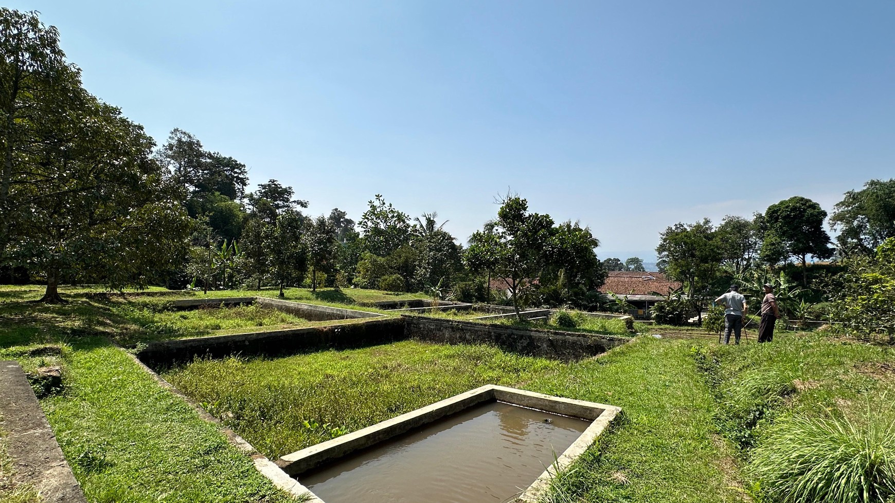 Lahan Perkebunan Seluas 1.6 Hektar di Cijeruk Bogor