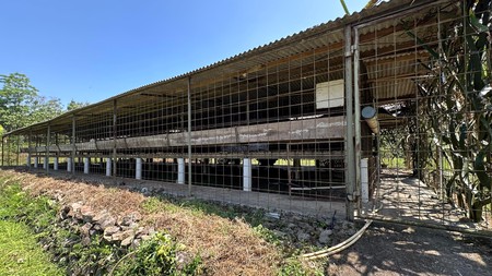 Lahan Perkebunan Seluas 1.6 Hektar di Cijeruk Bogor 