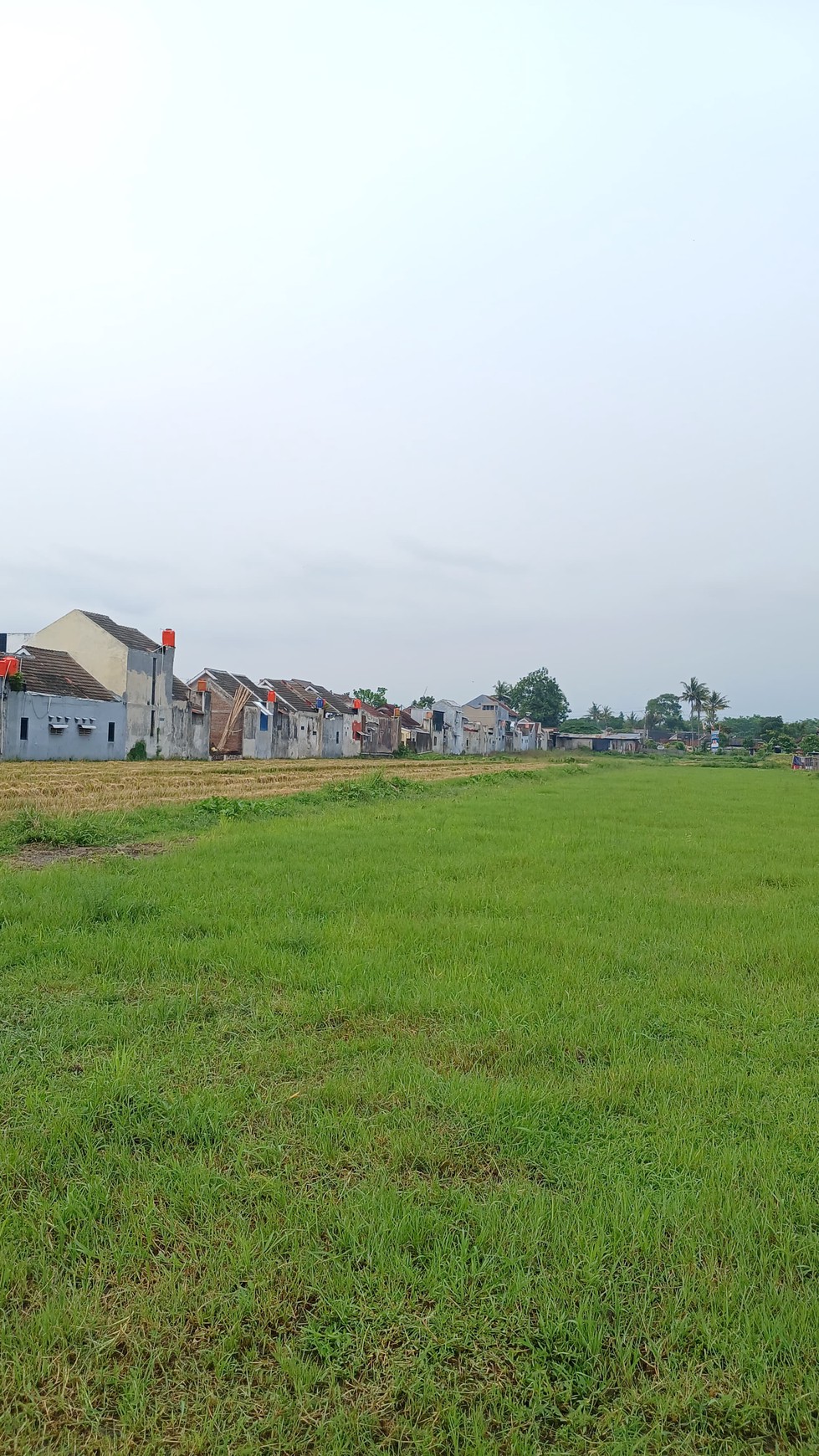 Tanah Kavling Lokasi Strategis di Dekat PKU Gamping