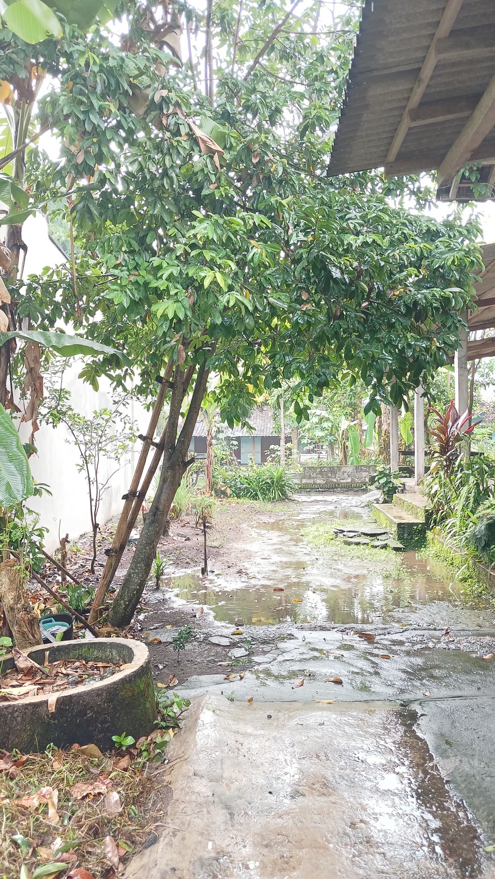Tanah Pekarangan Luas 140 Meter Persegi Lokasi Pandowoharjo Sleman