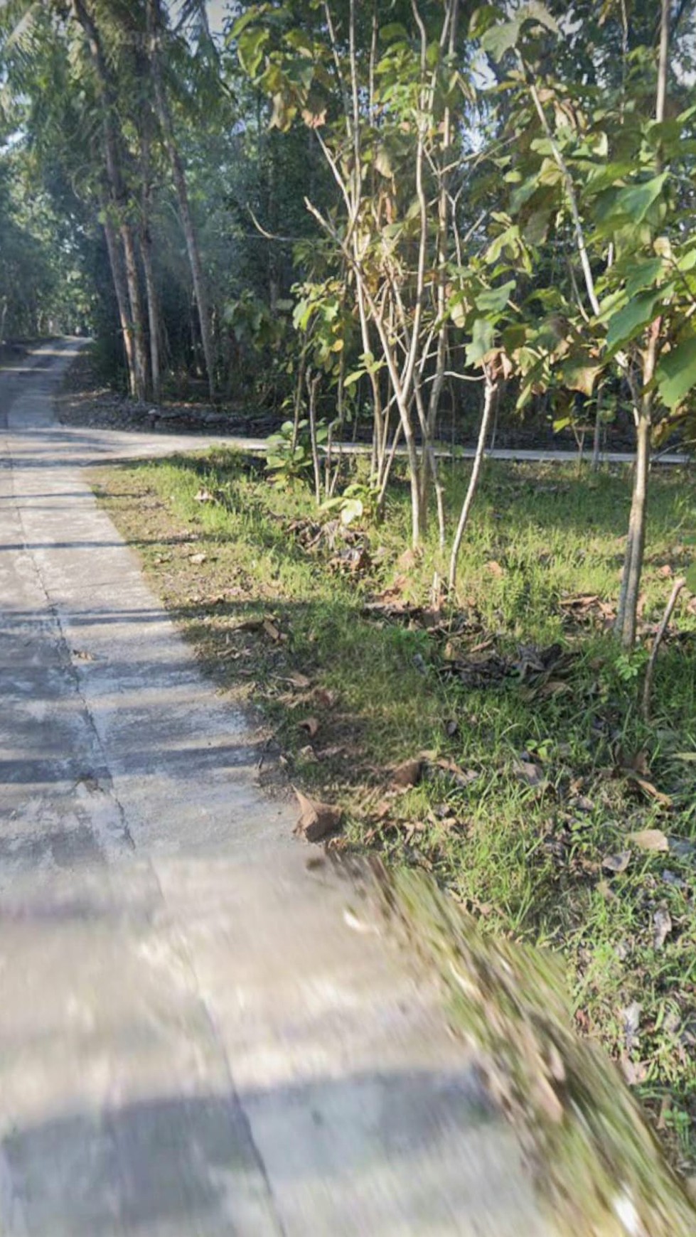 Tanah 107 Meter Persegi Di Bambanglipuro Bantul