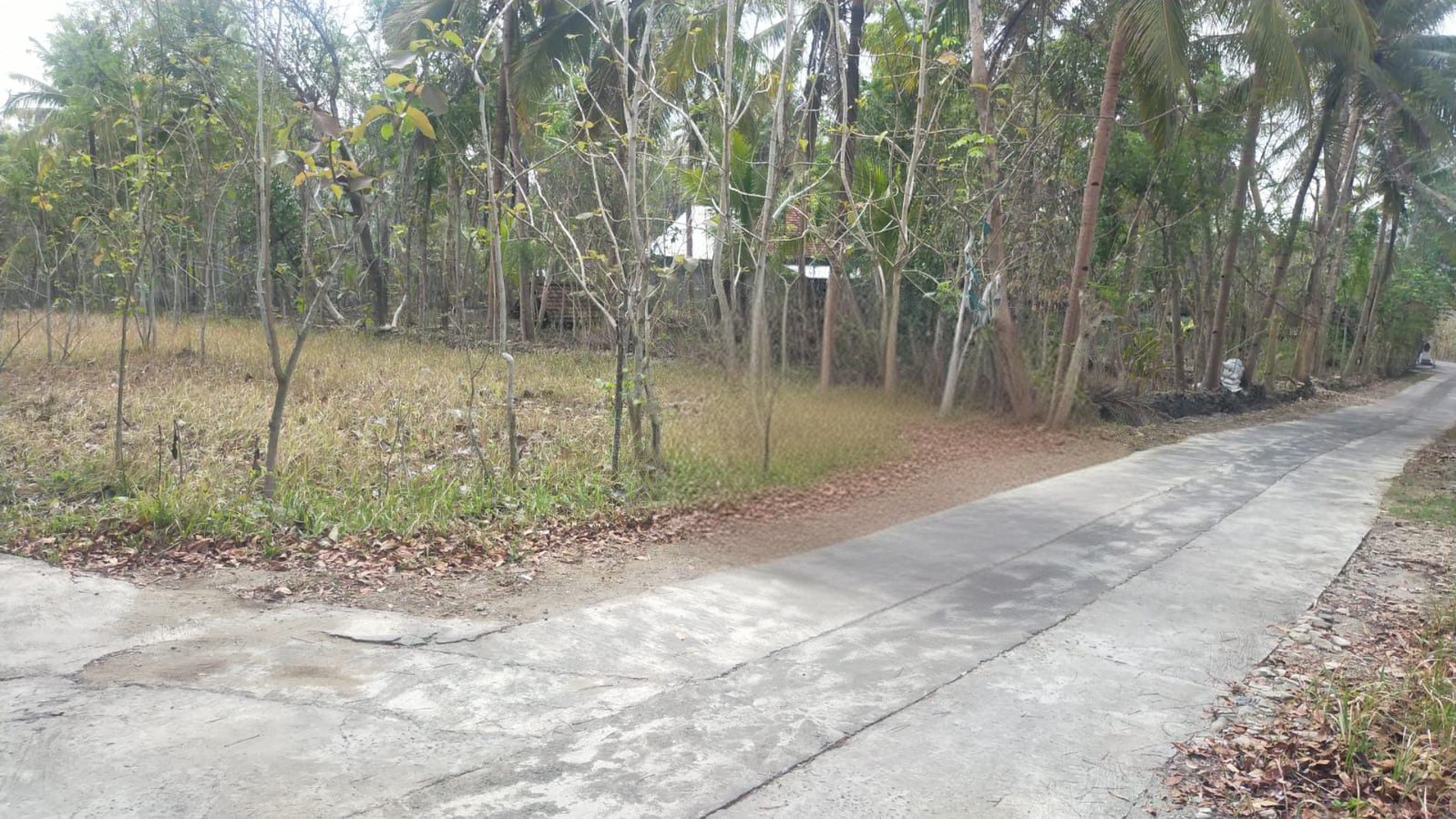 Tanah 107 Meter Persegi Di Bambanglipuro Bantul