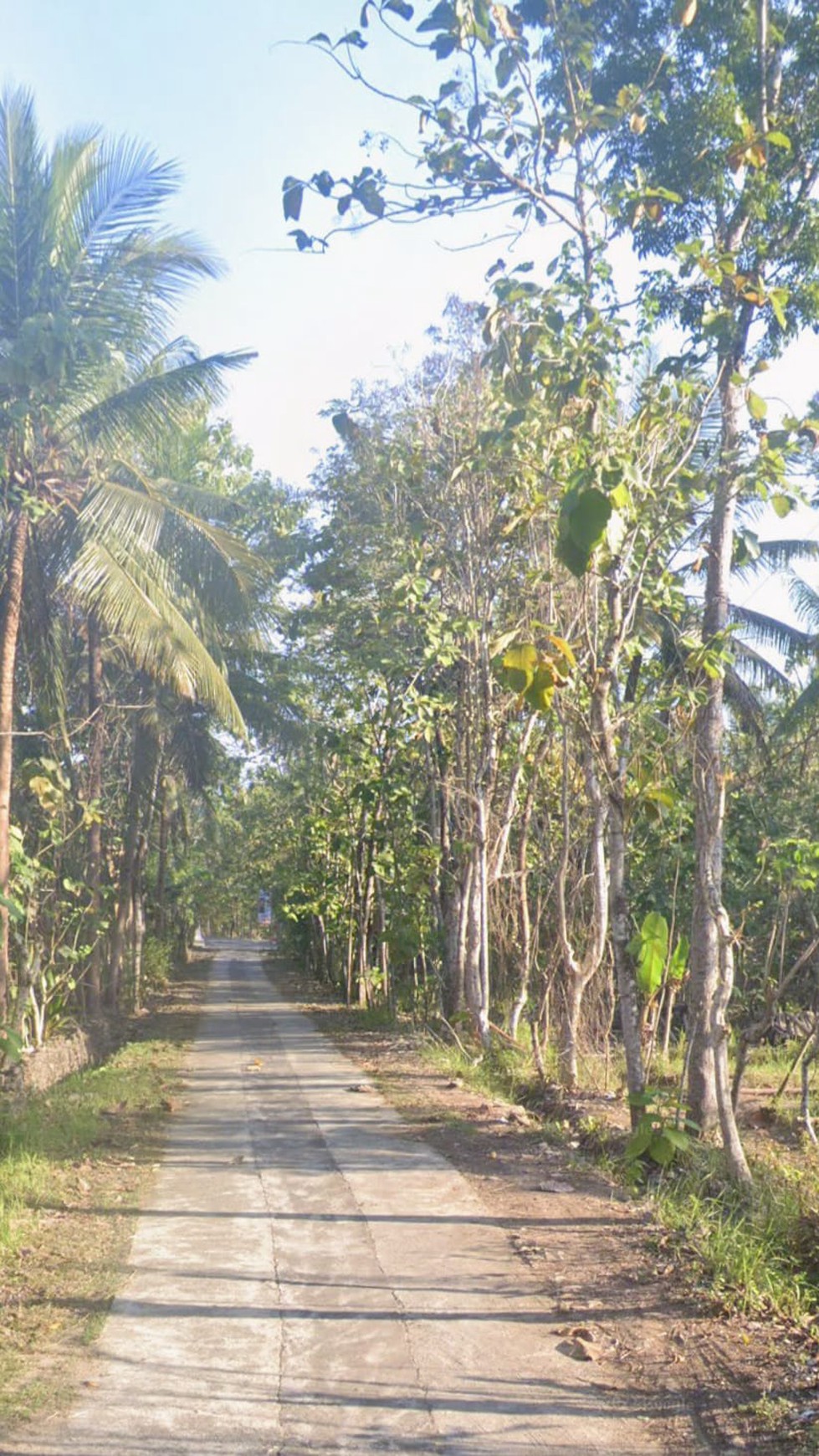 Tanah 107 Meter Persegi Di Bambanglipuro Bantul