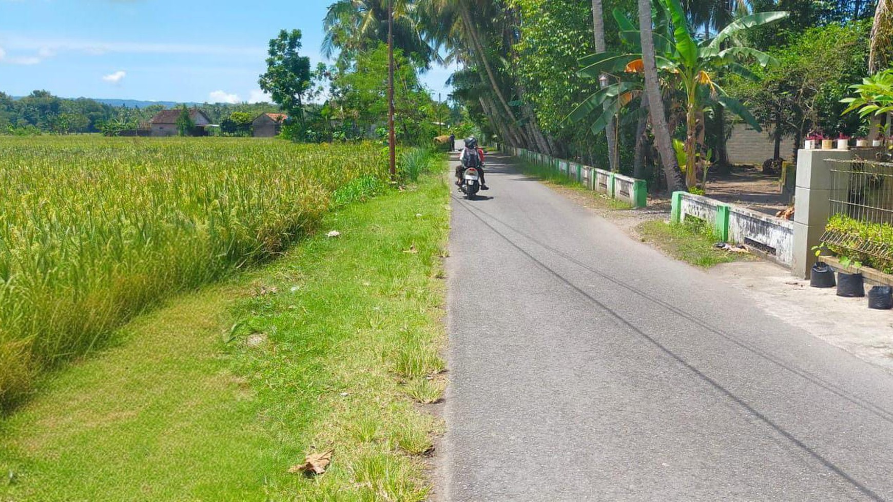 Tanah Sawah Di Jl Bantul Dekat RS Universitas Islam Indonesia