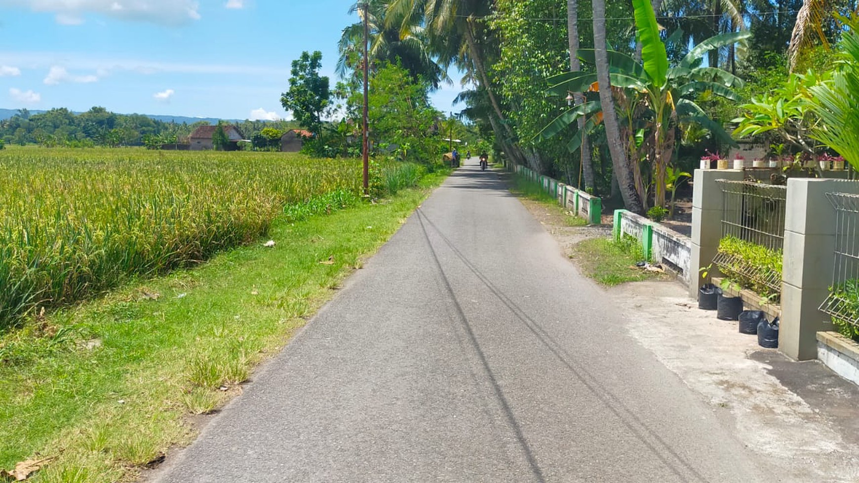 Tanah Sawah Di Jl Bantul Dekat RS Universitas Islam Indonesia