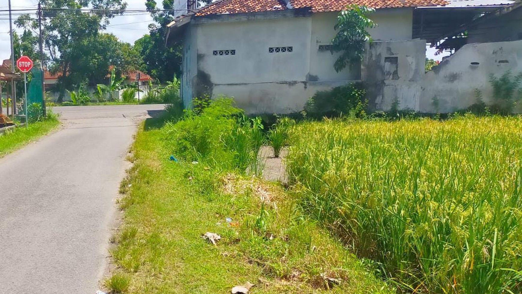 Tanah Sawah Di Jl Bantul Dekat RS Universitas Islam Indonesia