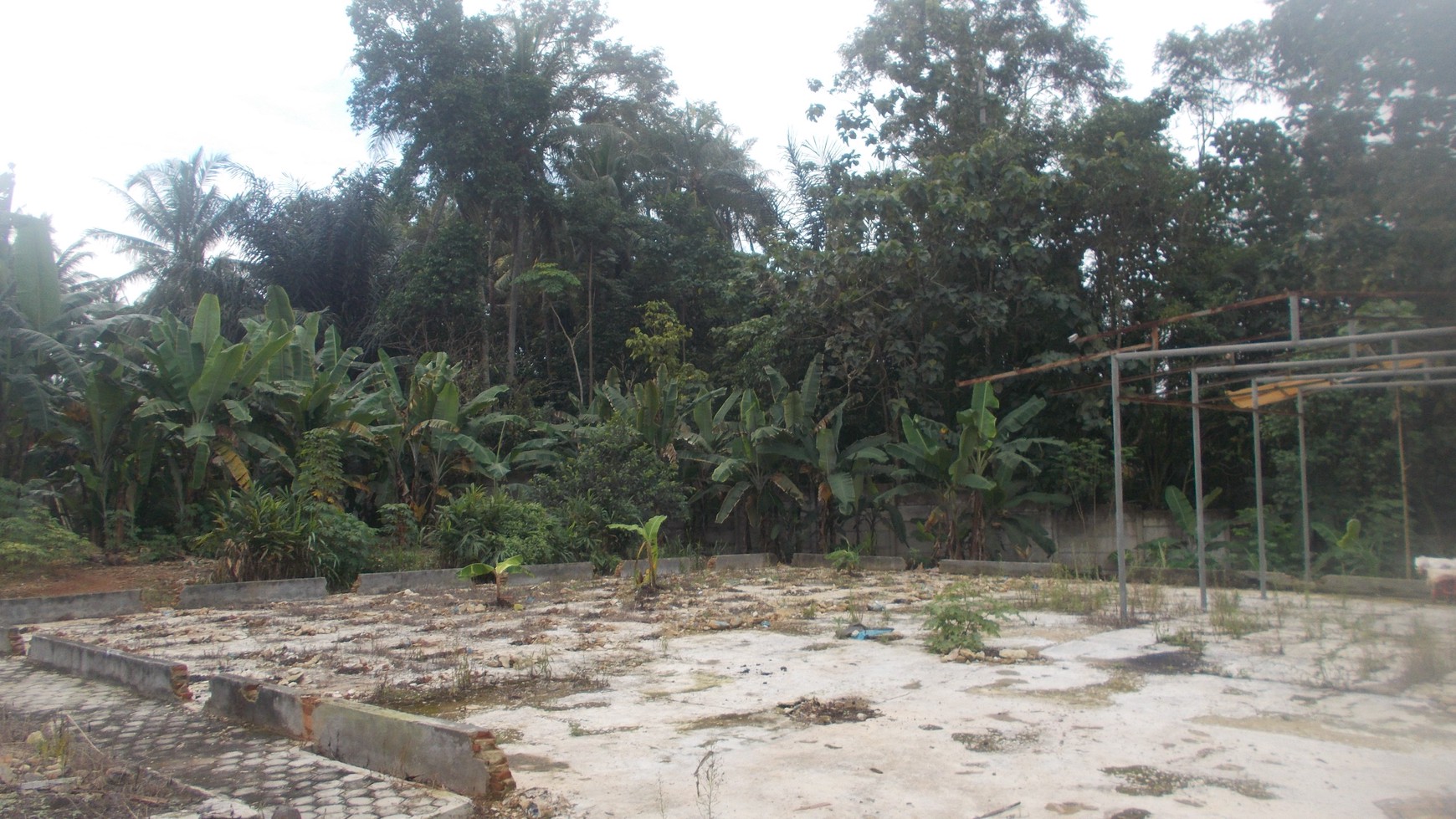 Dijual Pabrik Jagung di Sidomulyo, Lampung Selatan