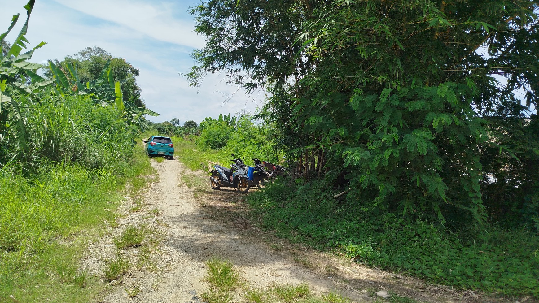 Tanah pinggir pantai di Cigeulis Pandeglang Banten