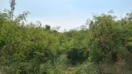 TANAH STRATEGIS DI CIPONDOH TANGERANG, AKSES MUDAH KE ALAM SUTERA, GADING SERPONG, BSD