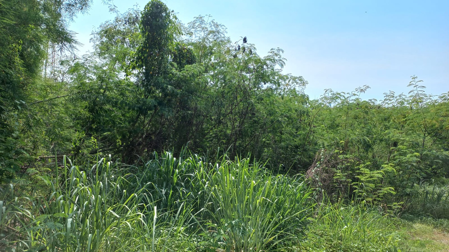 TANAH KOMERSIL DI CIPONDOH TANGERANG COCOK UNTUK HOTEL, RESTORAN, KOMPLEKS RUKO