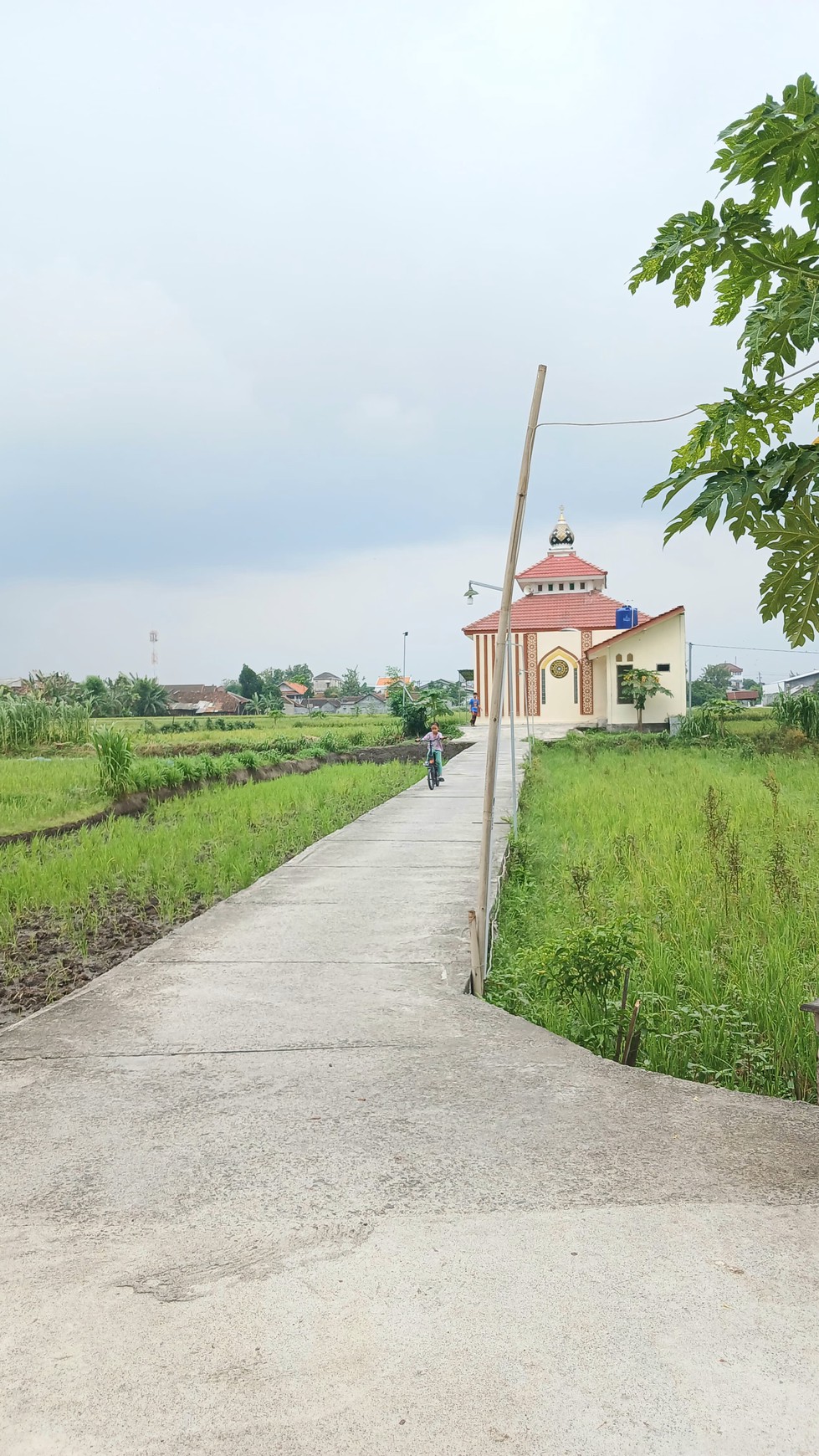 Tanah Sawah Lokasi Strategis Dekat Pasar Hewan PASTY Dongkelan Bantul