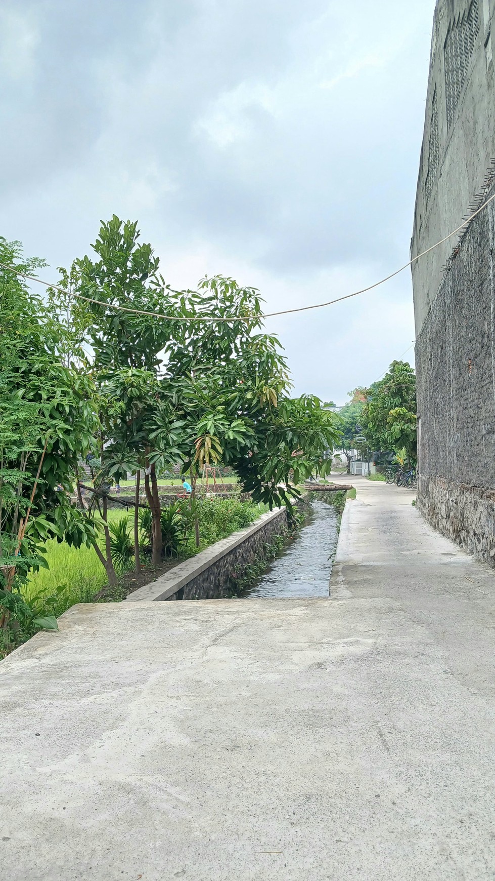 Tanah Sawah Lokasi Strategis Dekat Pasar Hewan PASTY Dongkelan Bantul