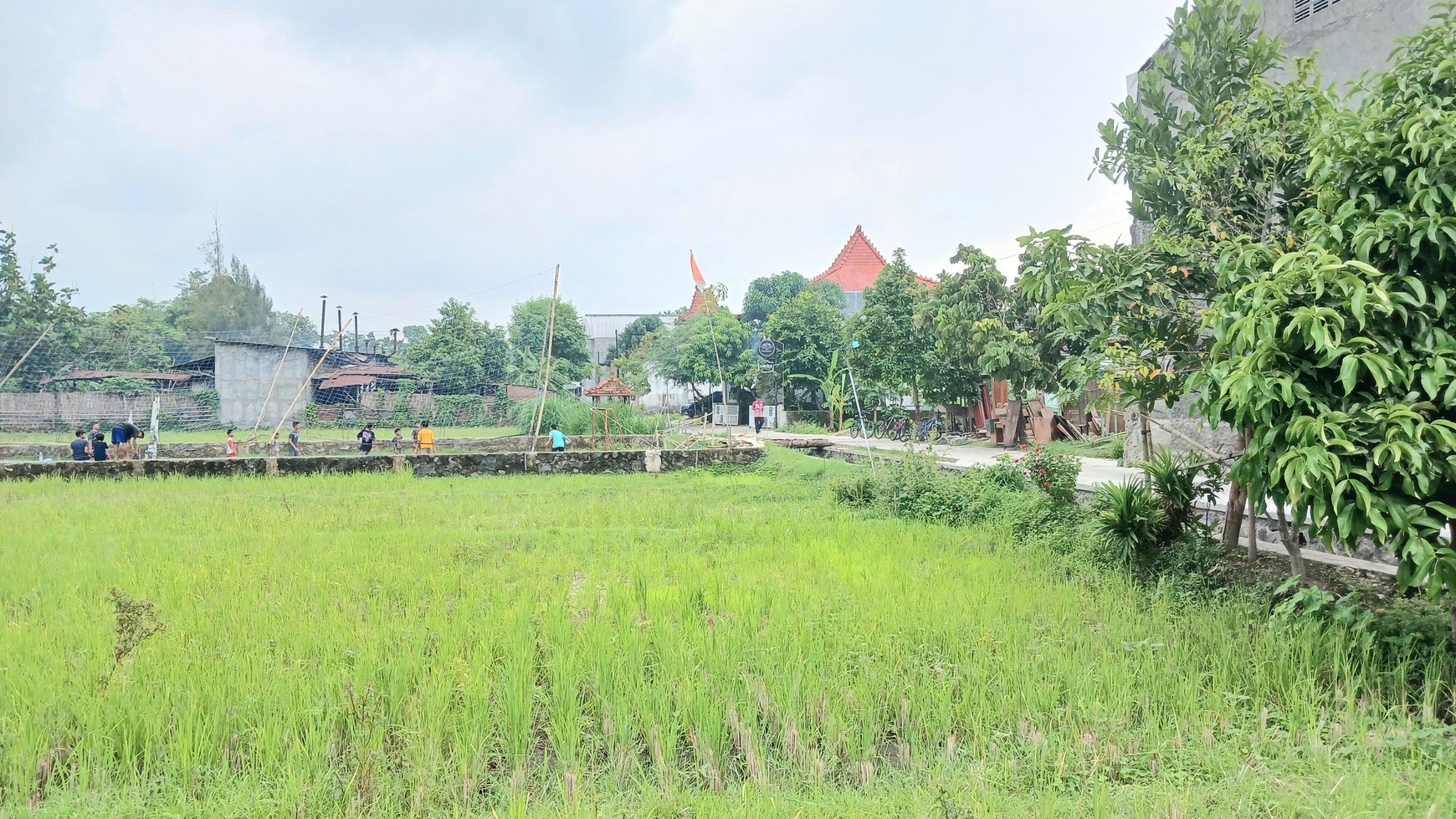 Tanah Sawah Lokasi Strategis Dekat Pasar Hewan PASTY Dongkelan Bantul