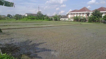Tanah Sawah Luas 1088 Meter Persegi Lokasi Jl Ring Road Selatan, Dongkelan Bantul 