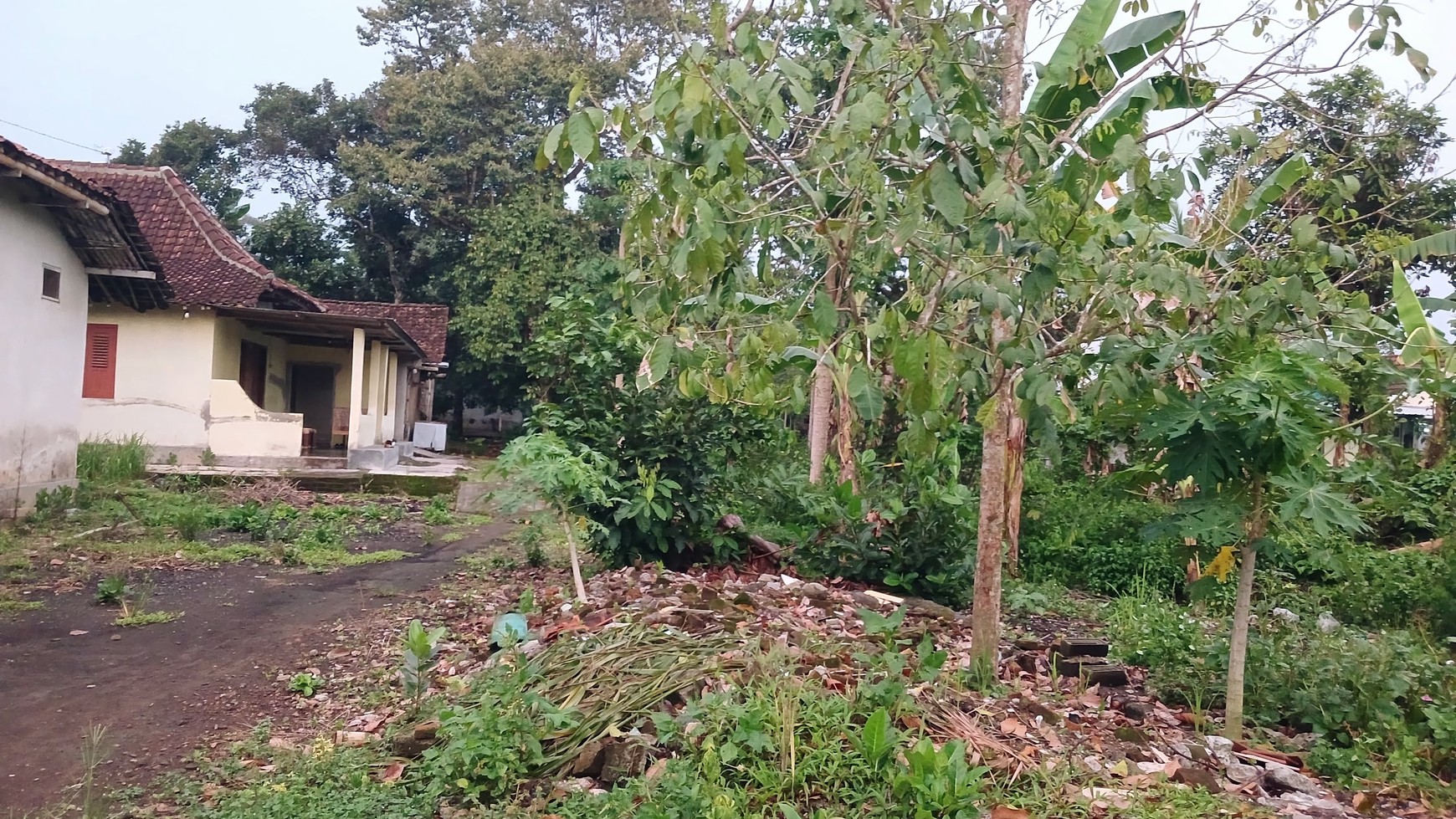 Tanah Luas 255 Meter Persegi Lokasi Dekat Desa Wisata Grogol Seyegan