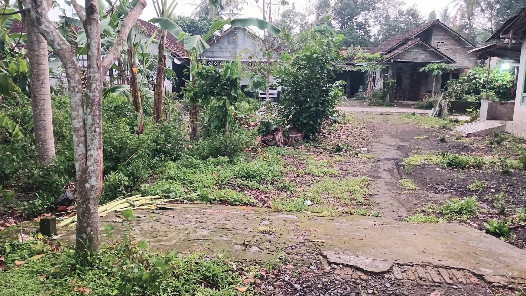 Tanah Luas 255 Meter Persegi Lokasi Dekat Desa Wisata Grogol Seyegan