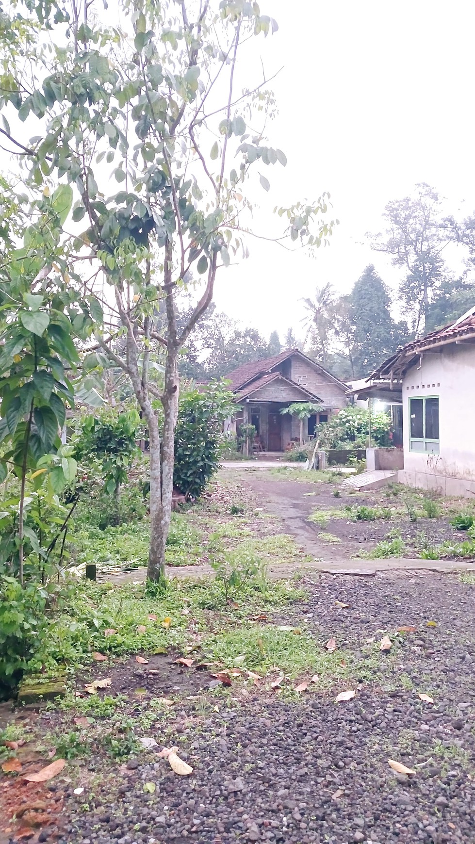 Tanah Luas 255 Meter Persegi Lokasi Dekat Desa Wisata Grogol Seyegan