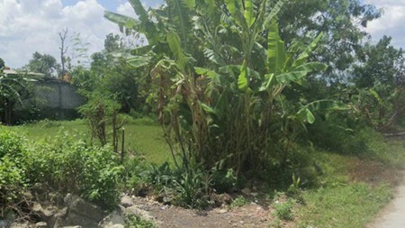 Tanah Sawah Luas 706 Meter Persegi Lokasi Bambanglipuro Bantul 