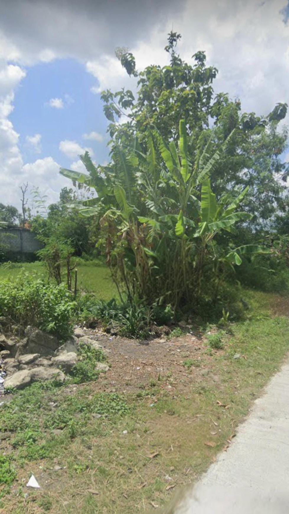 Tanah Sawah Luas 706 Meter Persegi Lokasi Bambanglipuro Bantul 