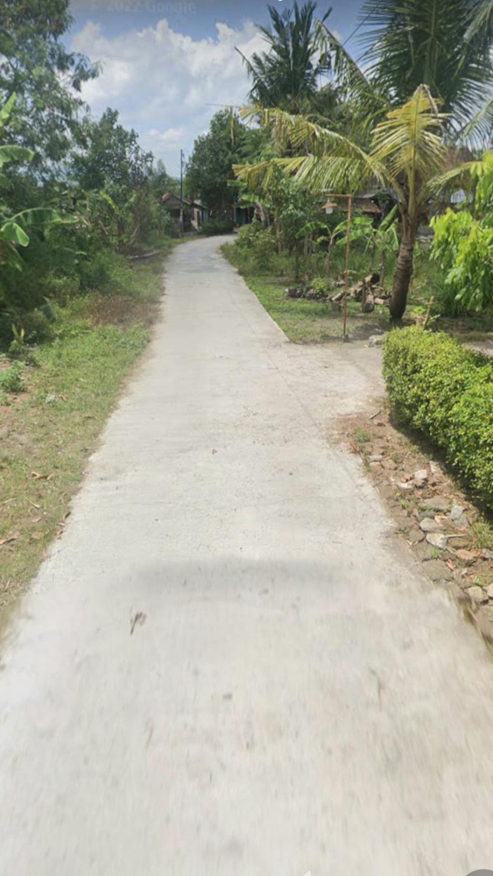 Tanah Sawah Luas 706 Meter Persegi Lokasi Bambanglipuro Bantul 