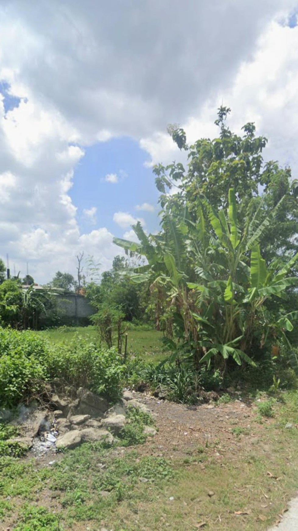 Tanah Sawah Luas 706 Meter Persegi Lokasi Bambanglipuro Bantul 