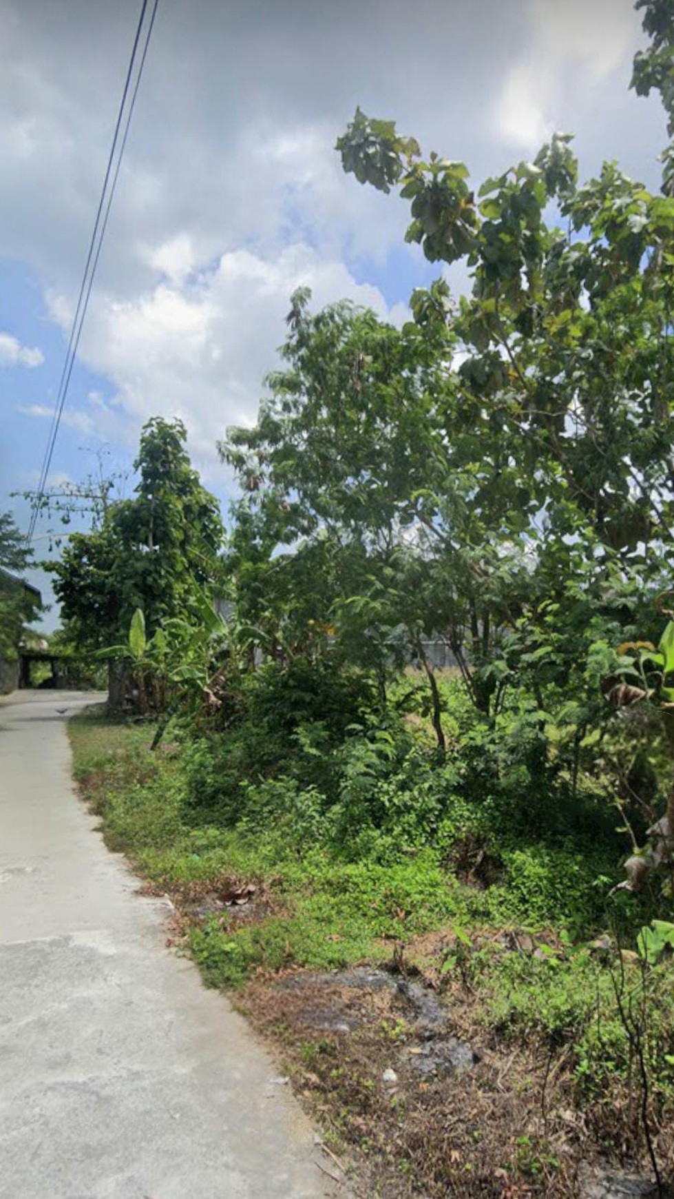 Tanah Sawah Luas 706 Meter Persegi Lokasi Bambanglipuro Bantul 