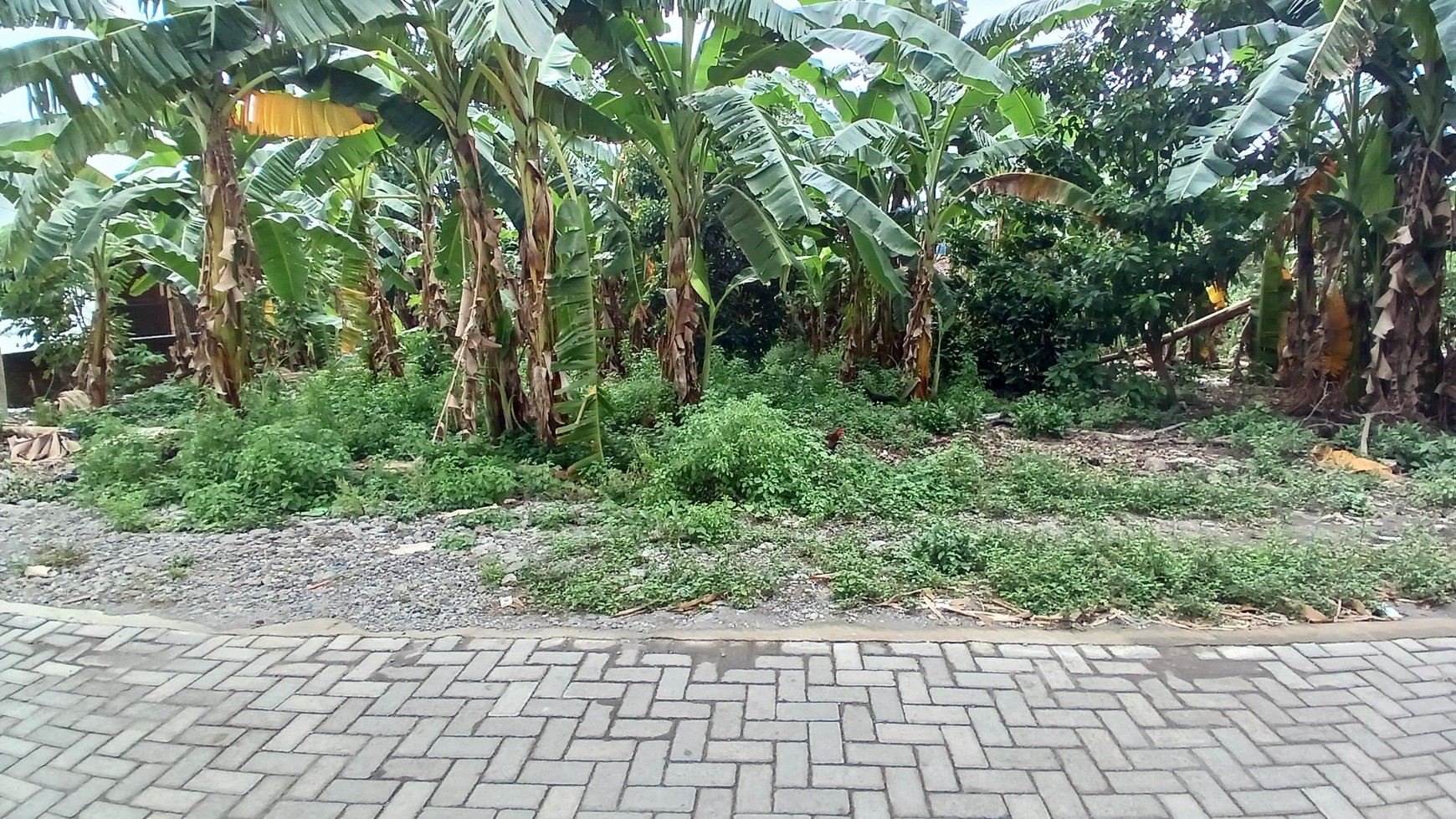 Tanah Luas 366 Meter Persegi Lokasi Strategis Dekat Teminal Giwangan 