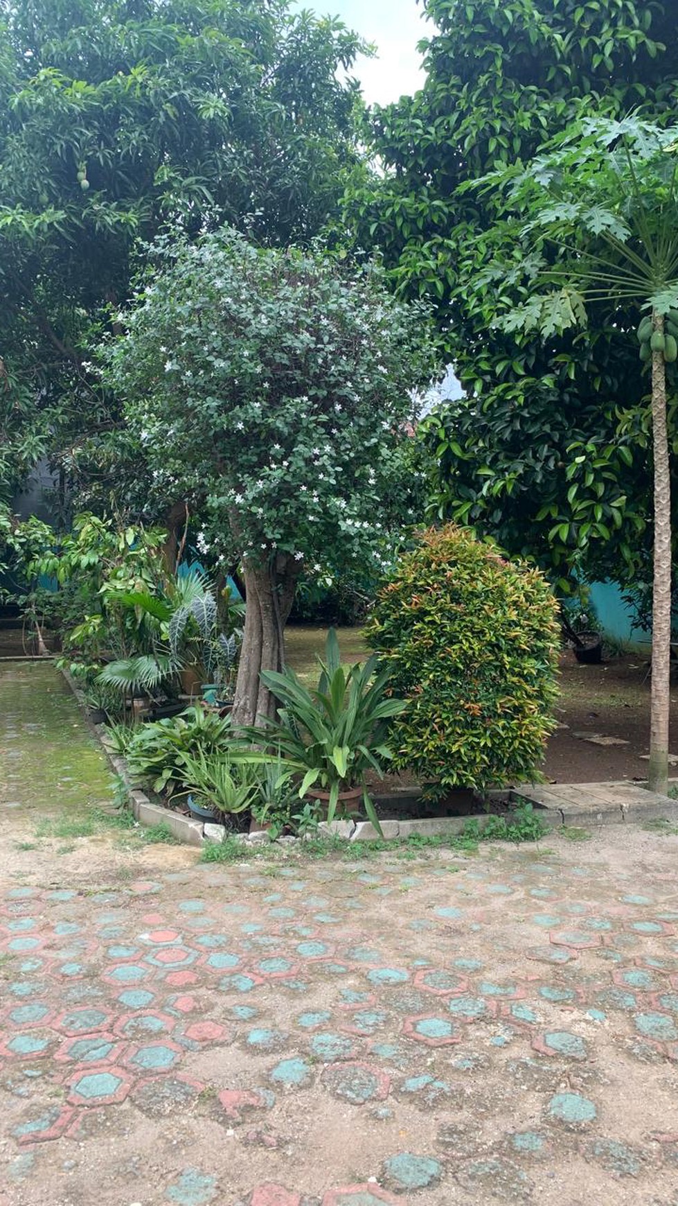 Rumah Hitung Tanah Area Cipete