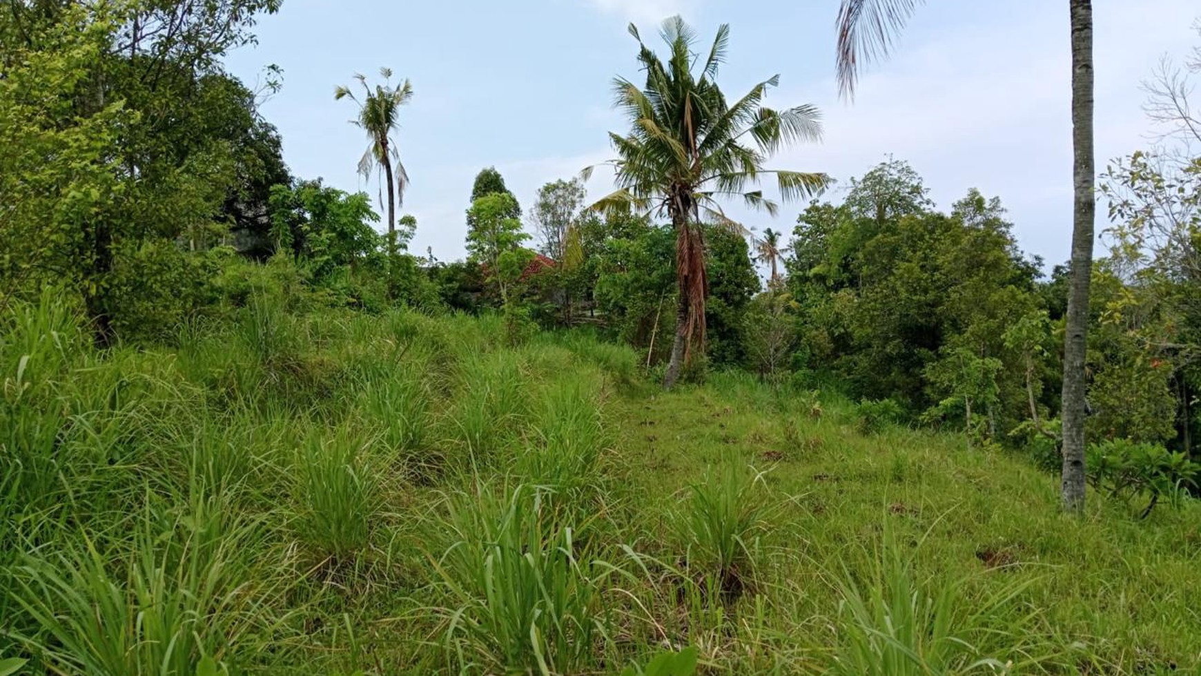 Prime Hillside Plot with Breathtaking Ocean Vista in Cempaga