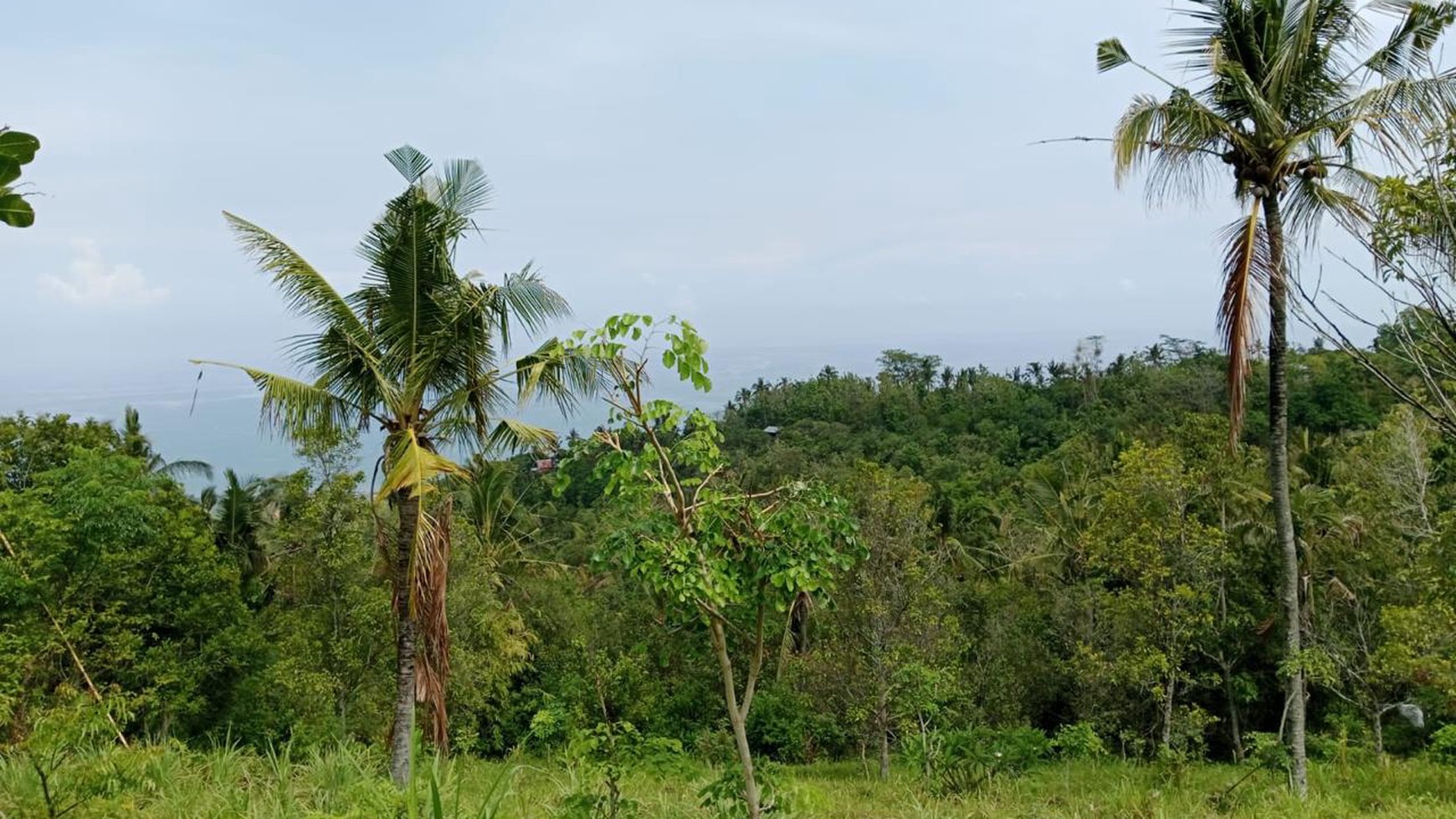 Prime Hillside Plot with Breathtaking Ocean Vista in Cempaga