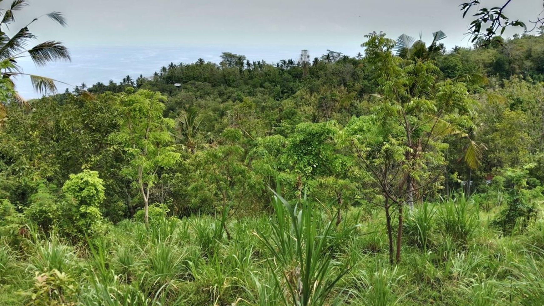 Prime Hillside Plot with Breathtaking Ocean Vista in Cempaga