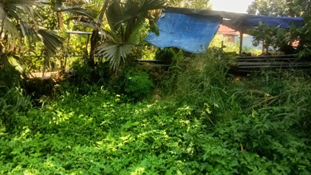 Tanah Raya Padjajaran, Bogor